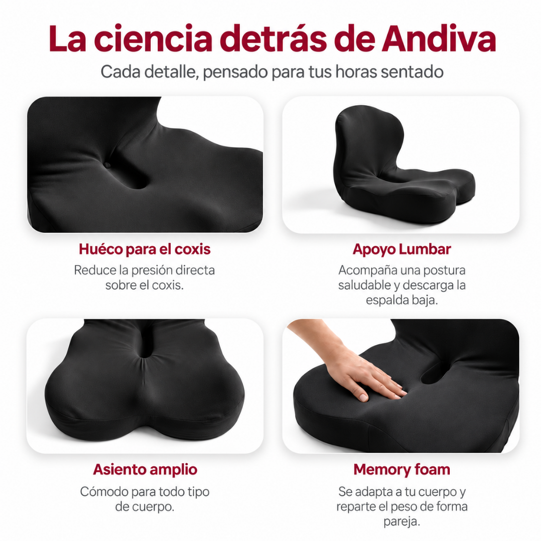 Andiva — Almohadon Ortopédico Premium para Coxis y Lumbar