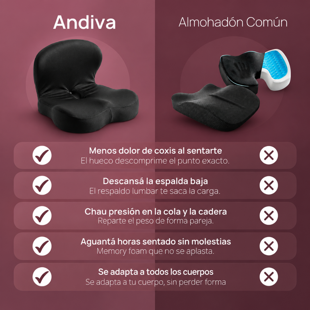 Andiva — Almohadon Ortopédico Premium para Coxis y Lumbar